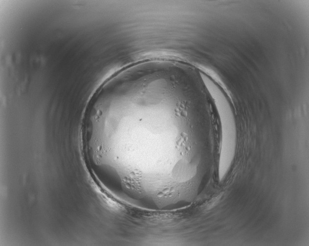 X0000062800999200601051107