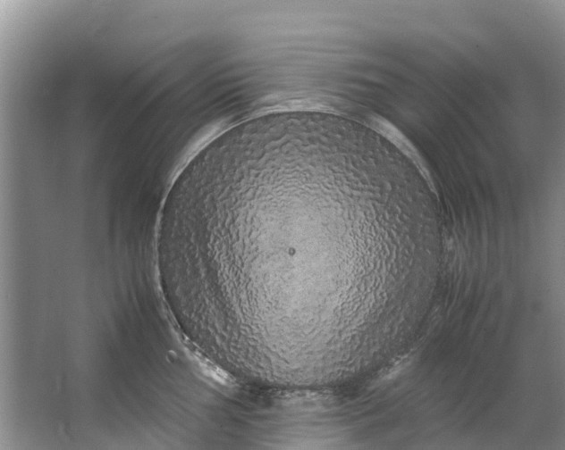 X0000062801002200601051107