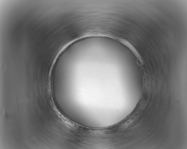 X0000062801004200601051107