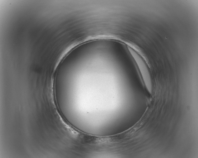 X0000062801006200601051107