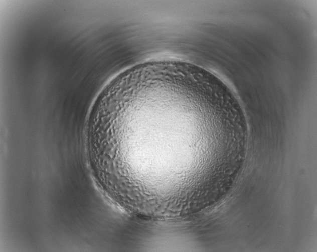 X0000062801008200601051107