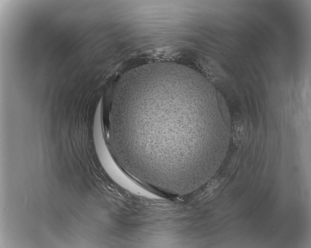 X0000062801010200601051106