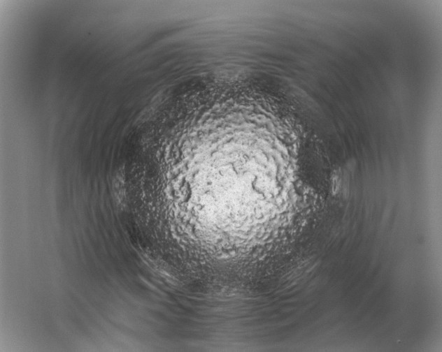 X0000062801011200601051106