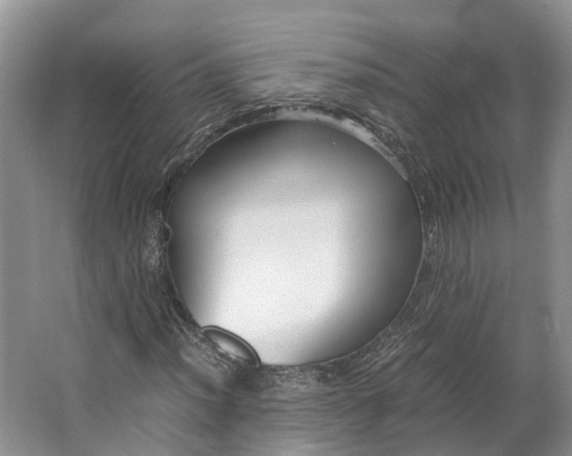 X0000062801012200601051106