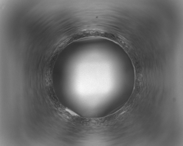 X0000062801014200601051106