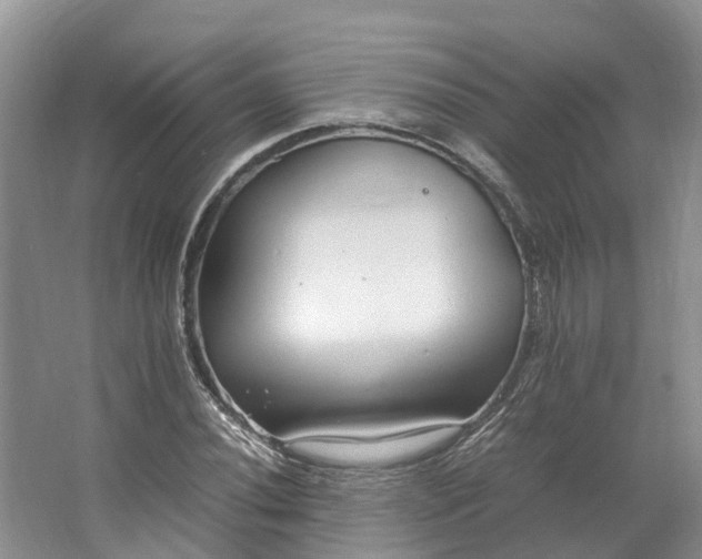 X0000062801020200601051106