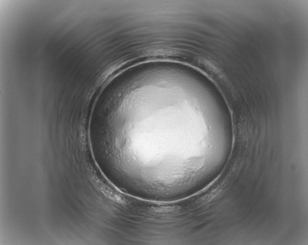 X0000062801025200601051106