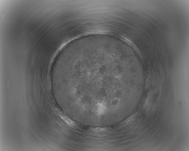 X0000062801027200601051106