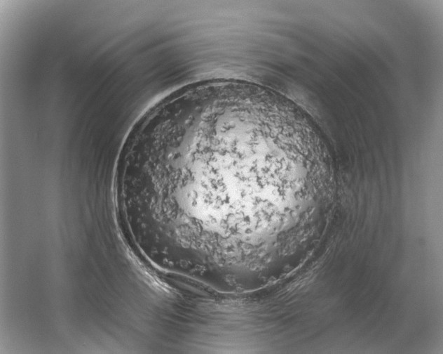 X0000062801028200601051106