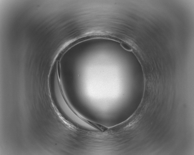 X0000062801030200601051106