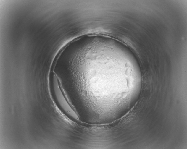 X0000062801032200601051106