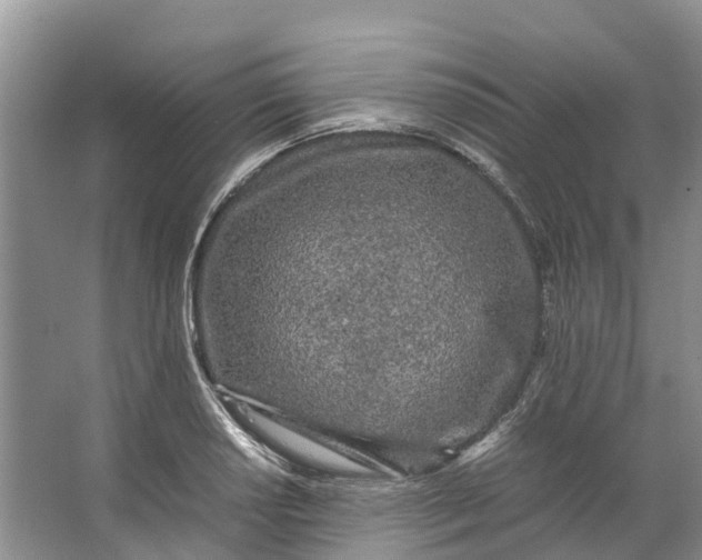 X0000062801034200601051106