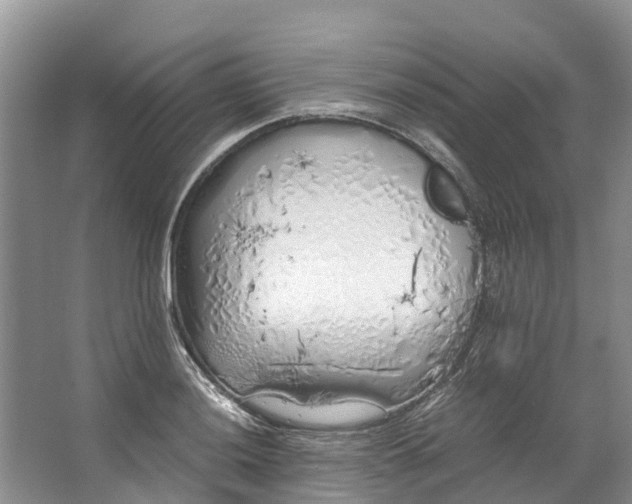 X0000062801036200601051106