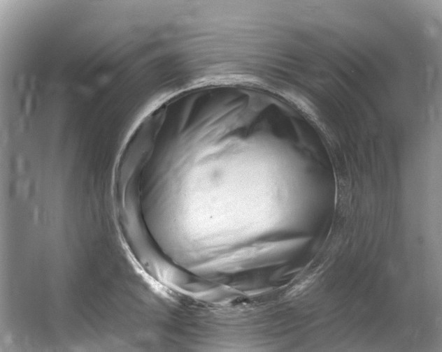 X0000062801046200601051106