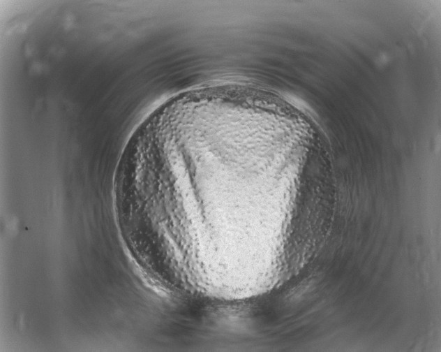 X0000062801047200601051106