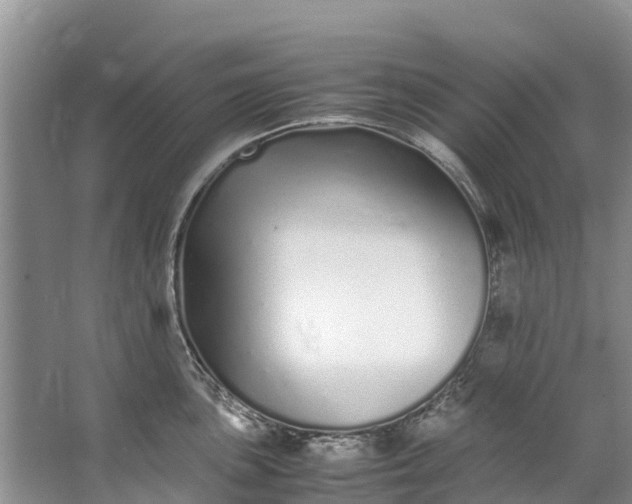 X0000062801051200601051106