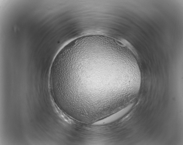 X0000062801052200601051106