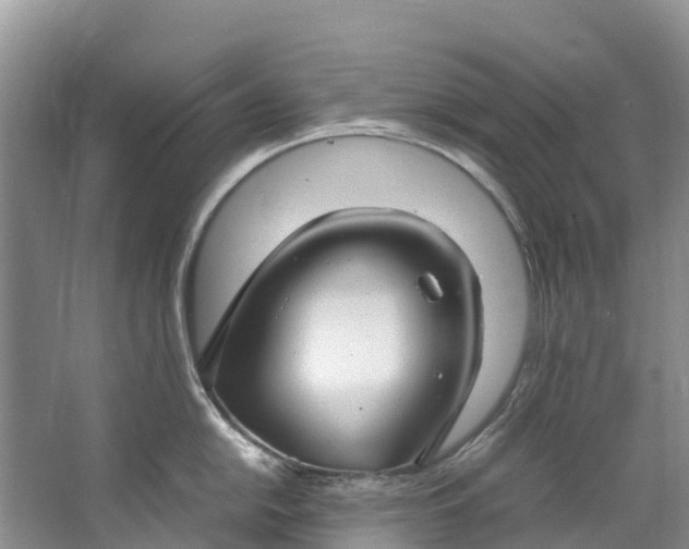 X0000062801054200601051107