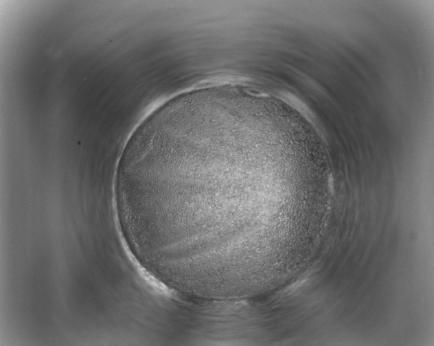 X0000062801055200601051107