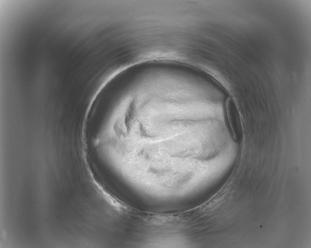 X0000062801056200601051107