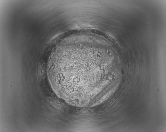 X0000062801063200601051106