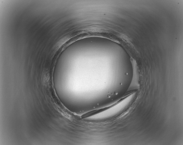 X0000062801065200601051106