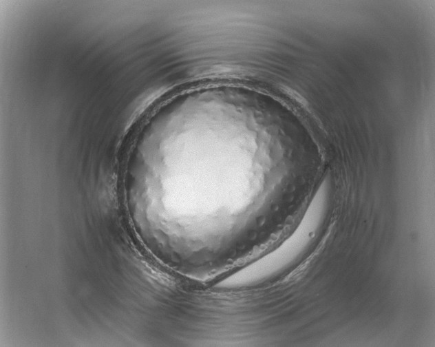 X0000062801066200601051106