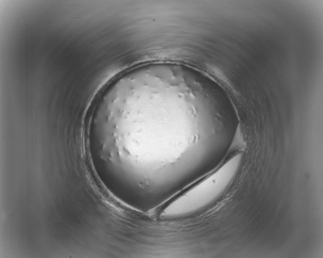 X0000062801079200601051105