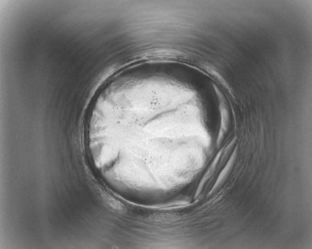 X0000062801083200601051105