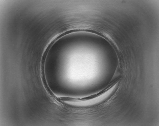 X0000062801085200601051105