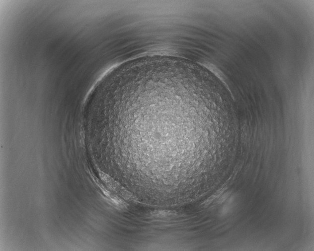 X0000062801115200601051104