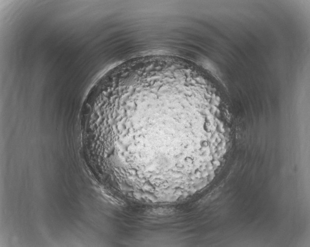 X0000062801117200601051104