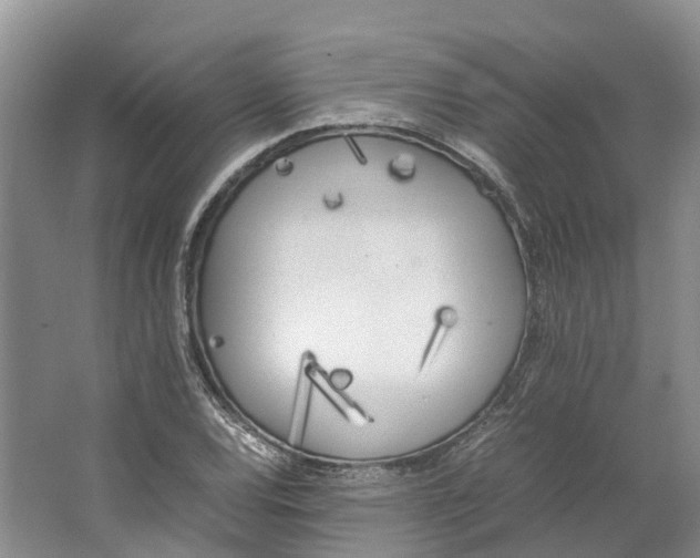 X0000062801120200601051104