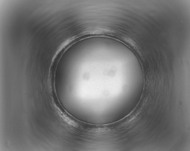 X0000062801122200601051104