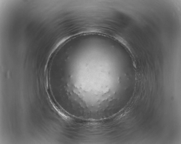 X0000062801127200601051105