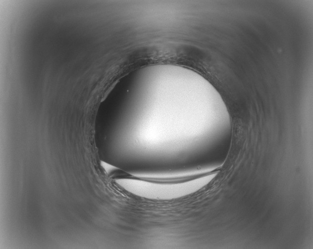 X0000062801153200601051104