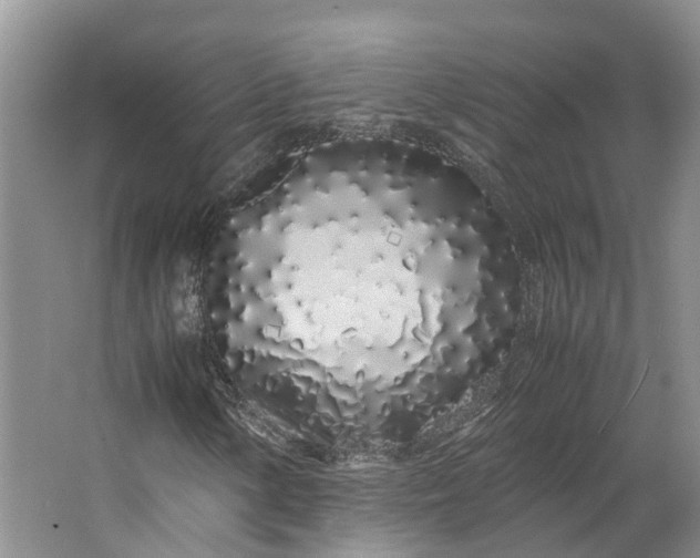 X0000062801154200601051104