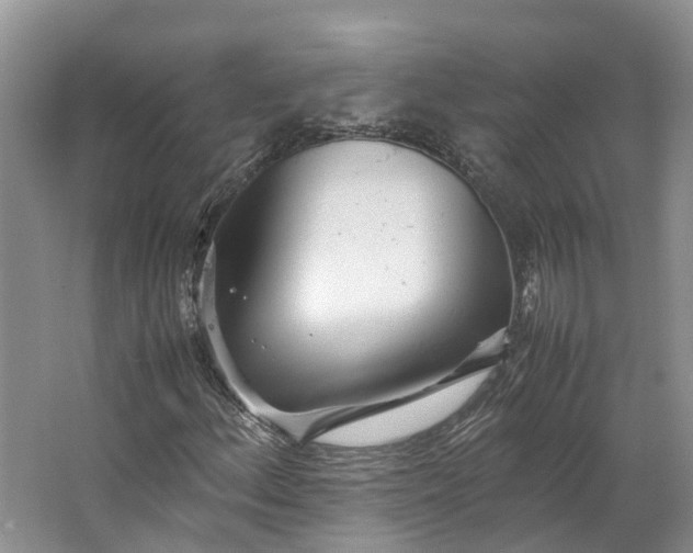 X0000062801156200601051104
