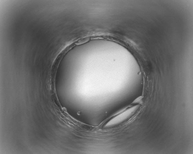 X0000062801165200601051104