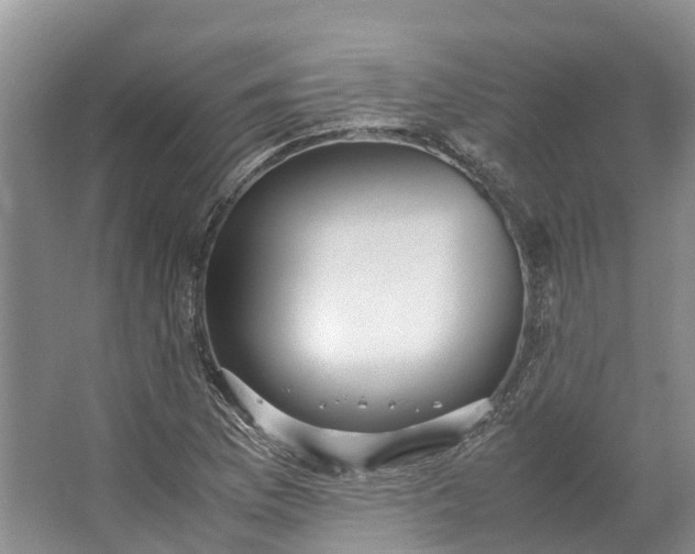 X0000062801169200601051104