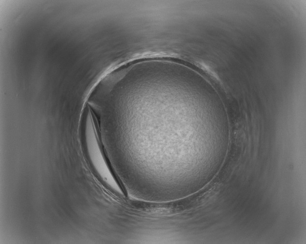 X0000062801173200601051104