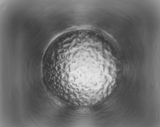 X0000062801174200601051104