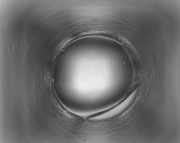 X0000062801177200601051104