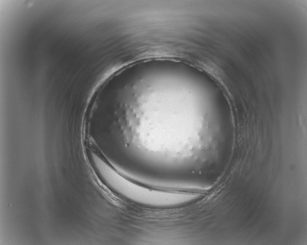 X0000062801179200601051104