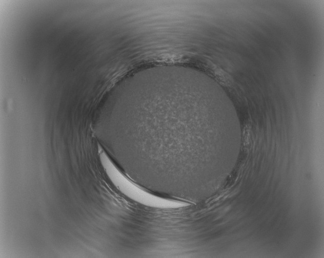 X0000062801202200601051103