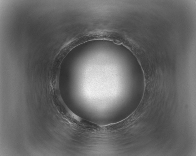 X0000062801206200601051103