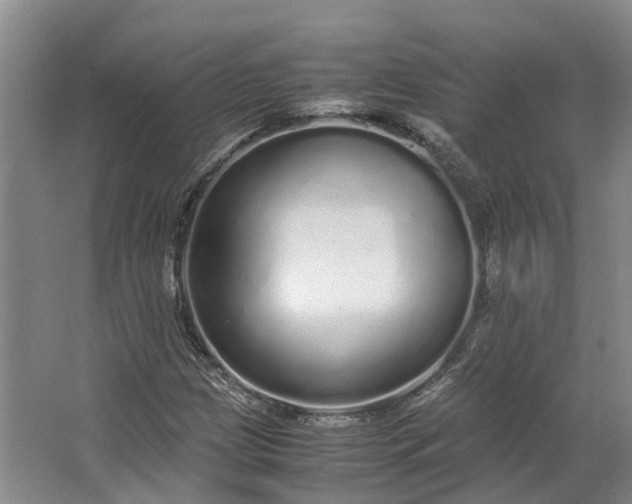 X0000062801209200601051103