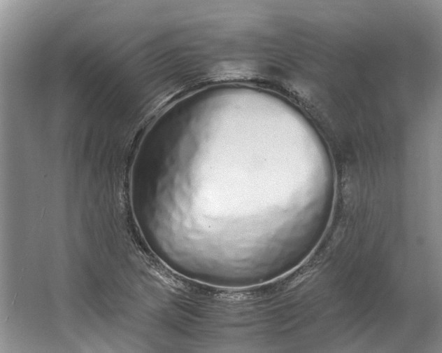 X0000062801217200601051103
