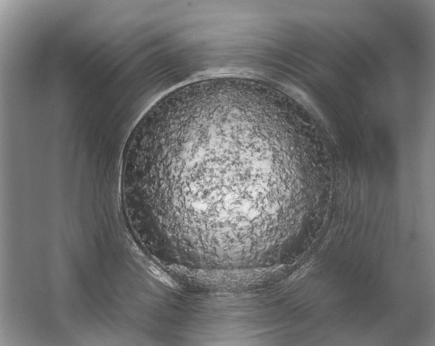 X0000062801228200601051103