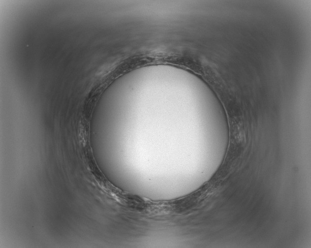 X0000062801253200601051102